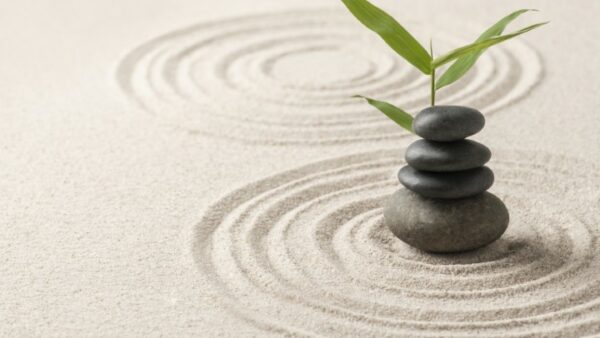 Waarom alternatieve geneeskunde in opkomst is: holistische gezondheid en gepersonaliseerde zorg