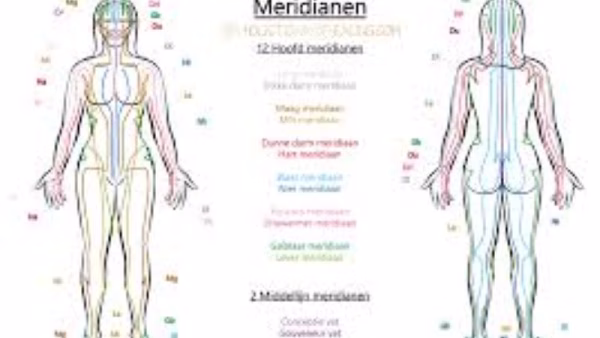copyright MORA bioresonantie – auteursrecht en gebruiksvoorwaarden