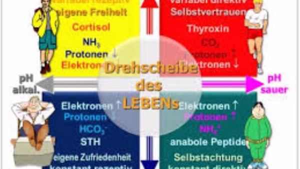Quadranttherapie Dr. Bodo Köhler – fysische en biomedische basis